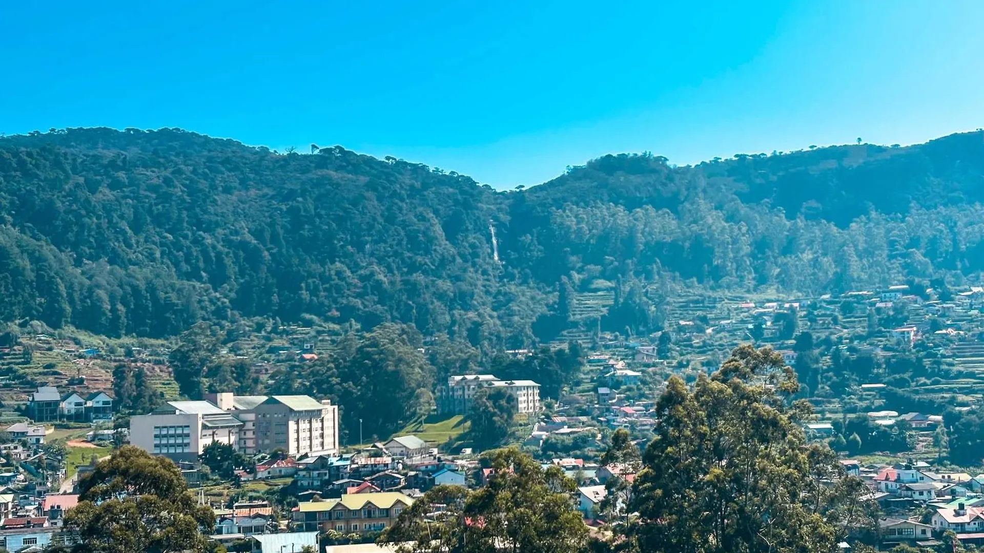 Avocado City Guest Nuwaraeliya Nuwara Eliya Sri Lanka